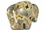 Calcite-Filled Polished Septarian Bison - Utah #301484-1